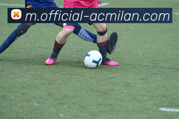 米兰体育平台生态图